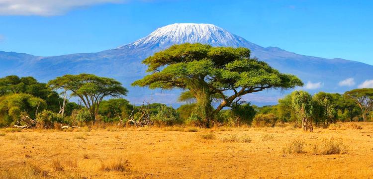 Tanzanie