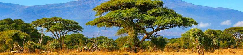  Infos <strong>pratiques</strong> 