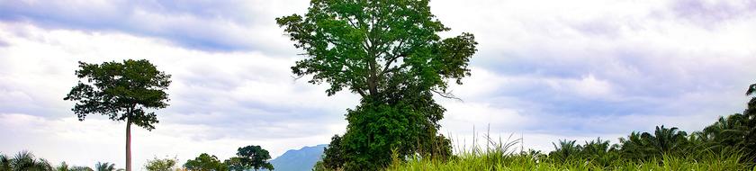  Infos <strong>pratiques</strong> 