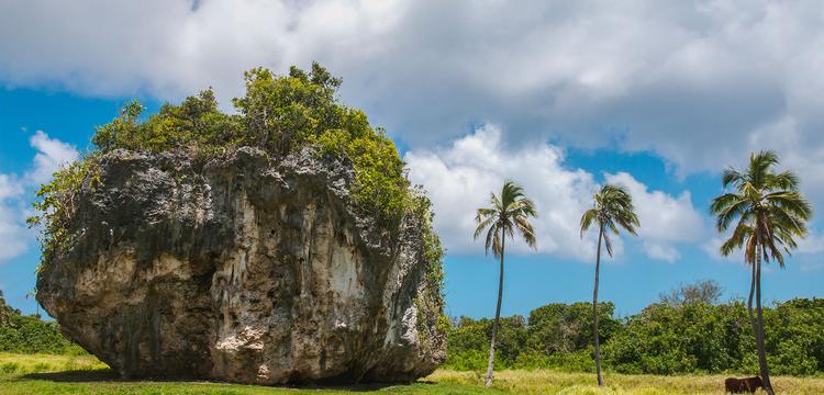 Tonga