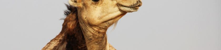  Infos <strong>pratiques</strong> 