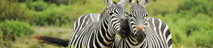  Infos <strong>pratiques</strong> 