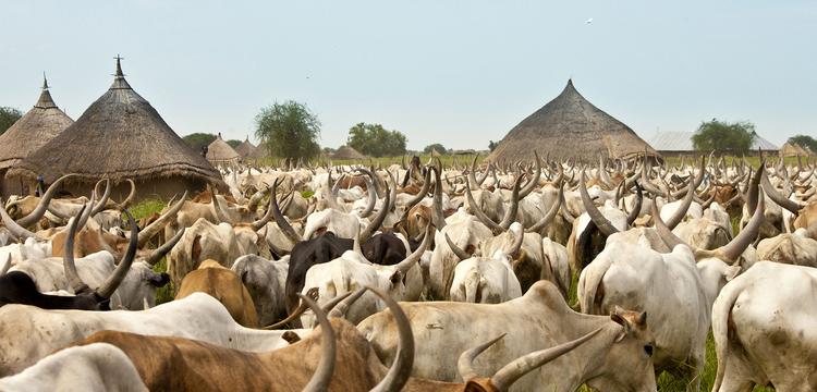 Sud Soudan