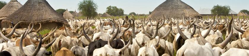  Infos <strong>pratiques</strong> 