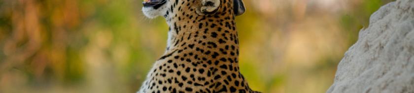  Infos <strong>pratiques</strong> 