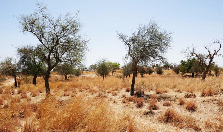 Meteo Heure par Heure Daribiti N 2 Burkina Faso (Centre Nord