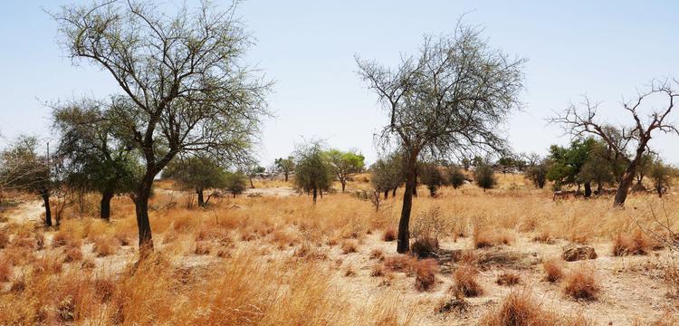 weather Burkina Faso Batié