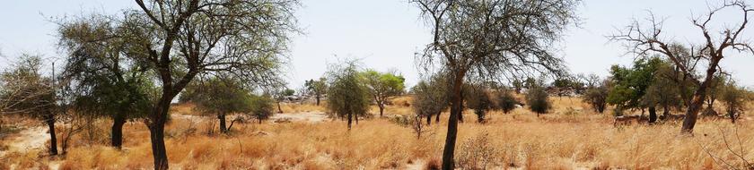  Infos <strong>pratiques</strong> 