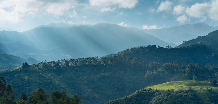 meteo Colombie Buenavista