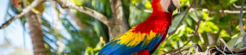  Infos <strong>pratiques</strong> 