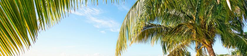  Infos <strong>pratiques</strong> 