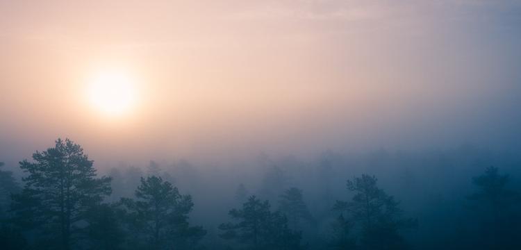 weather Estonia Hanikase