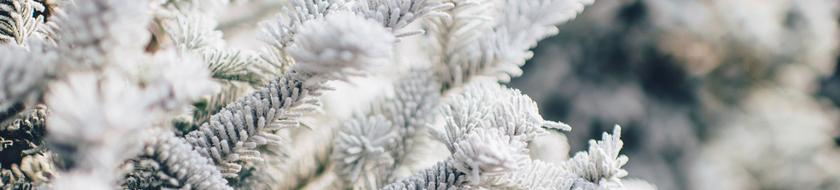  Infos <strong>pratiques</strong> 