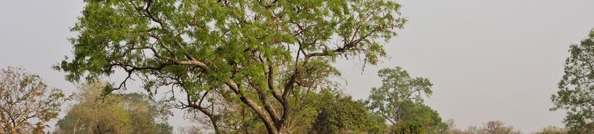  Infos <strong>pratiques</strong> 