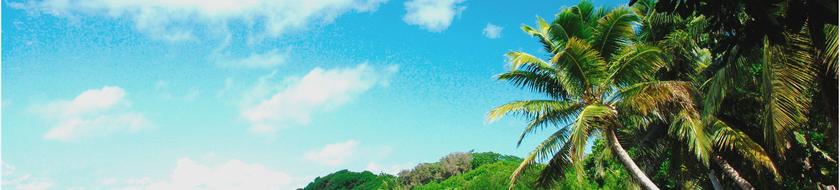  Infos <strong>pratiques</strong> 