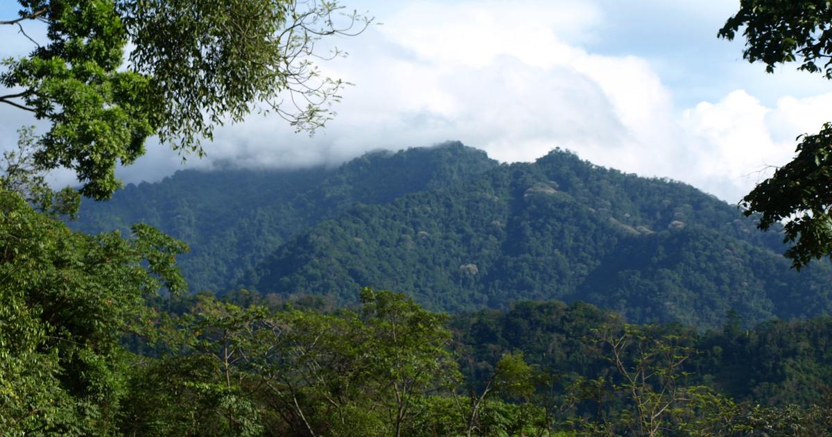 Weather Forecast San Pedro Sula Honduras Cortés Free 15 Day