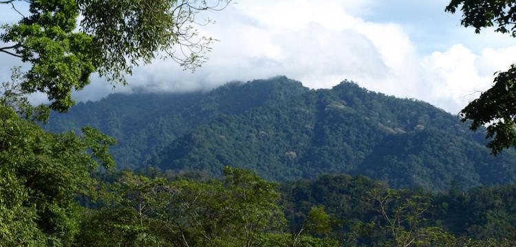 Honduras
