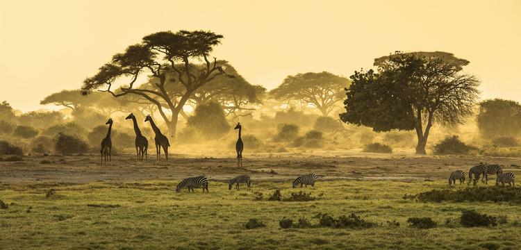 meteo Afrique
