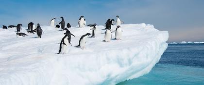 weather Antarctica