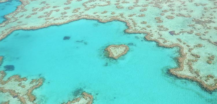 tiempo Australia Grande barrière de corail