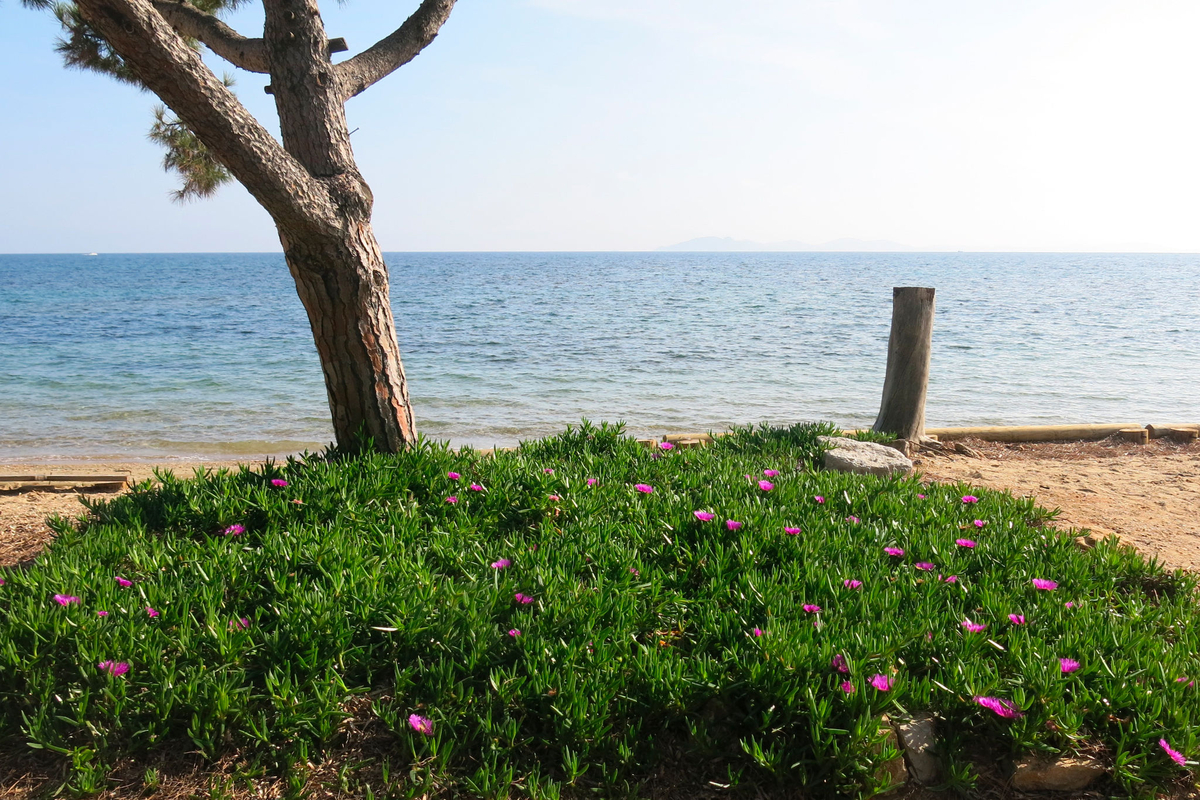 Meteo Plage de Pansard La LondelesMaures
