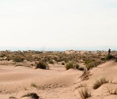 Plage de l'Espiguette