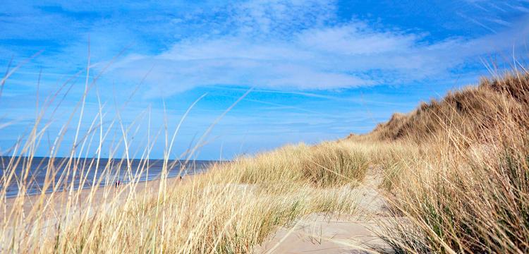 meteo France Plage du Perroquet