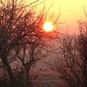 Bergères-sous-Montmirail 12/12/2012