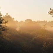 Saint-Symphorien 29/12/2012