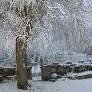 Charensat 15/01/2013