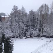 Signy-l'Abbaye 15/01/2013