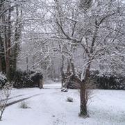 Piégut-Pluviers 16/01/2013