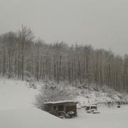 Castelnau-de-Brassac 16/01/2013