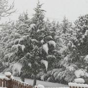 Vidaillac 16/01/2013