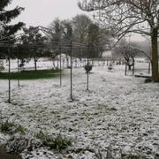 Villemain 16/01/2013