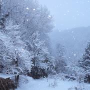 Cambounès 17/01/2013