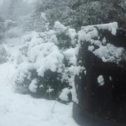 Saint-Marcel-du-Périgord 17/01/2013