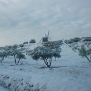 Félines-Minervois 17/01/2013