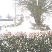 Grugé-l'Hôpital 18/01/2013