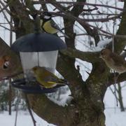 Ville-sous-la-Ferté 18/01/2013