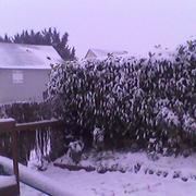 Sainte-Marie-du-Mont 18/01/2013