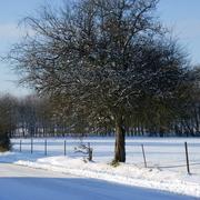 Regniowez 21/01/2013