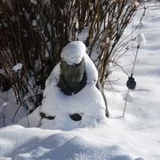 Regniowez 19/01/2013