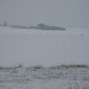 Gironville-sur-Essonne 22/01/2013