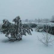 Montbarla 22/01/2013