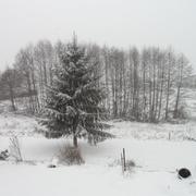 Piégut-Pluviers 24/01/2013