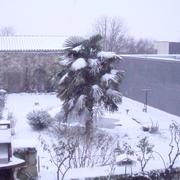 Scorbé-Clairvaux 24/01/2013