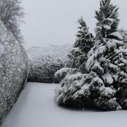 Saint-Mathieu 24/01/2013