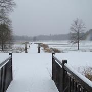 Ménestreau-en-Villette 25/01/2013