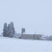 Touffailles 24/01/2013